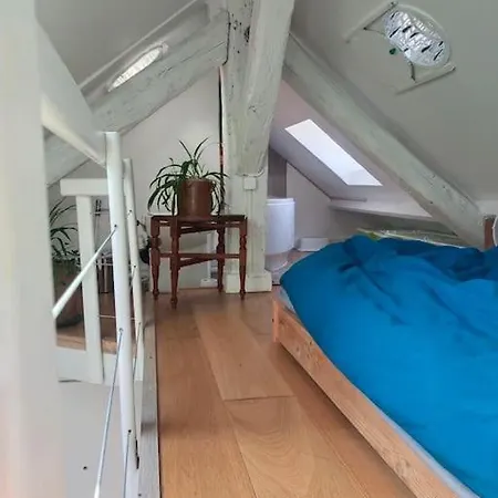 Apartment Sous Les Toits Et Mezzanine - Vincennes