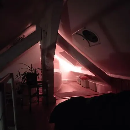 Apartment Sous Les Toits Et Mezzanine -