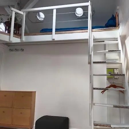 Apartment Sous Les Toits Et Mezzanine - *